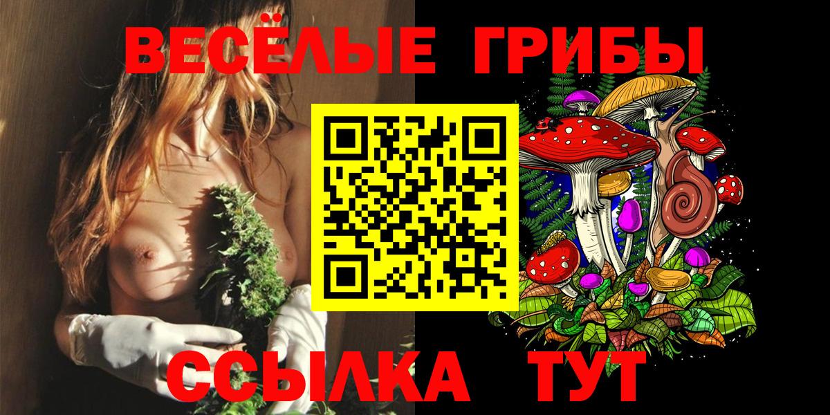 Галлюциногенные грибы ЛСД Туймазы