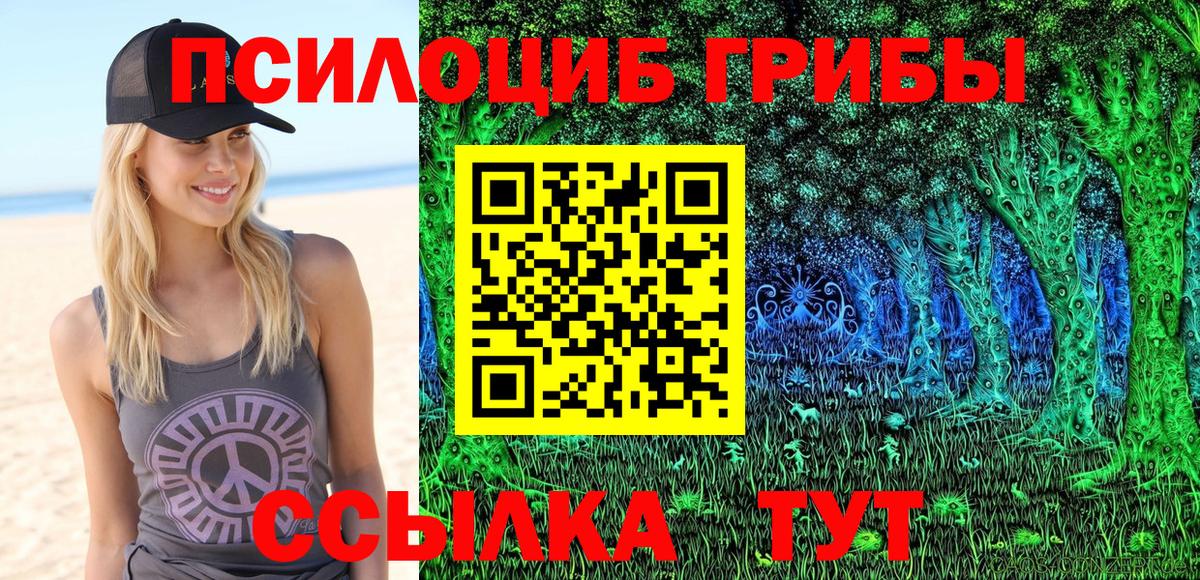 Псилоцибиновые грибы Psilocybine cubensis  Вход с VPN  Туймазы  Галлюциногенные грибы мицелий 